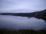 Early morning view, County Wicklow