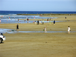 swimmers at Point Roadknight at extreme low tide