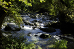 The Clinton River tumbles over the rocks