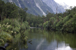 River, trees, grasses and glacial carved rock