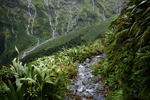 The track becomes a stream in the rain
