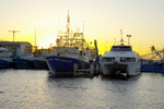 Boats in Fremantle near sunset